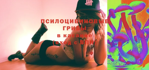 mix Богородицк