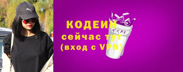 сатива Богданович