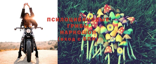 трава Бронницы