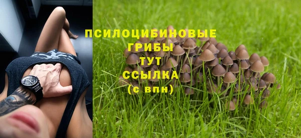 mix Богородицк