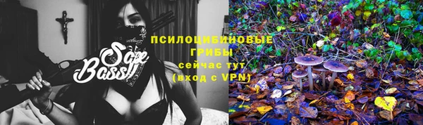 трава Бронницы