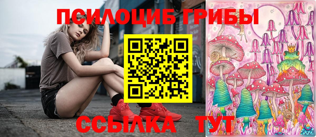 Галлюциногенные грибы MAGIC MUSHROOMS Гусев