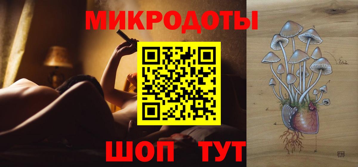 Галлюциногенные грибы Psilocybe  Вход с VPN  Гусев 